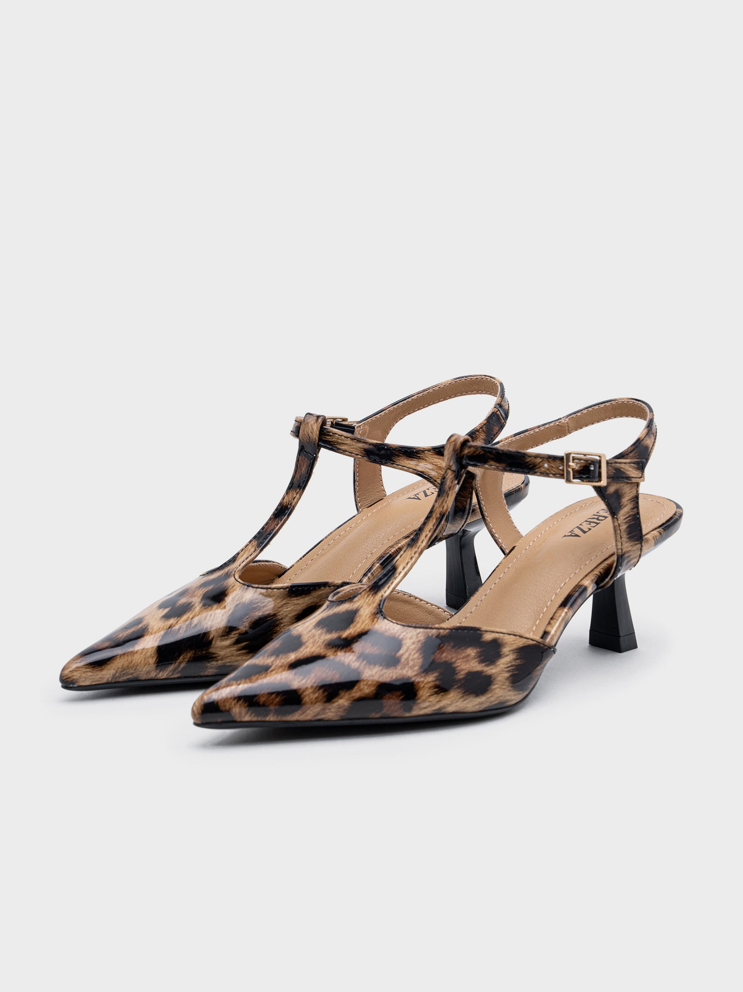 C639 LEOPARD