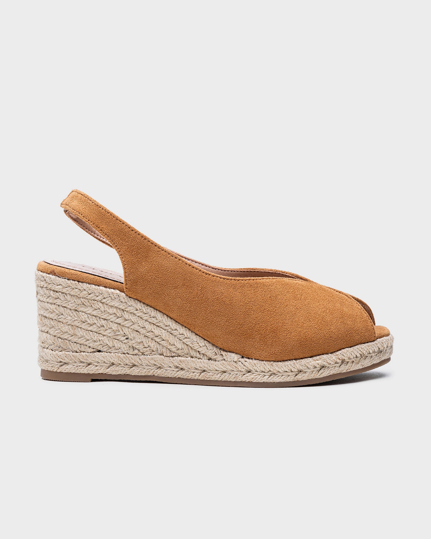 CD-37 CAMEL