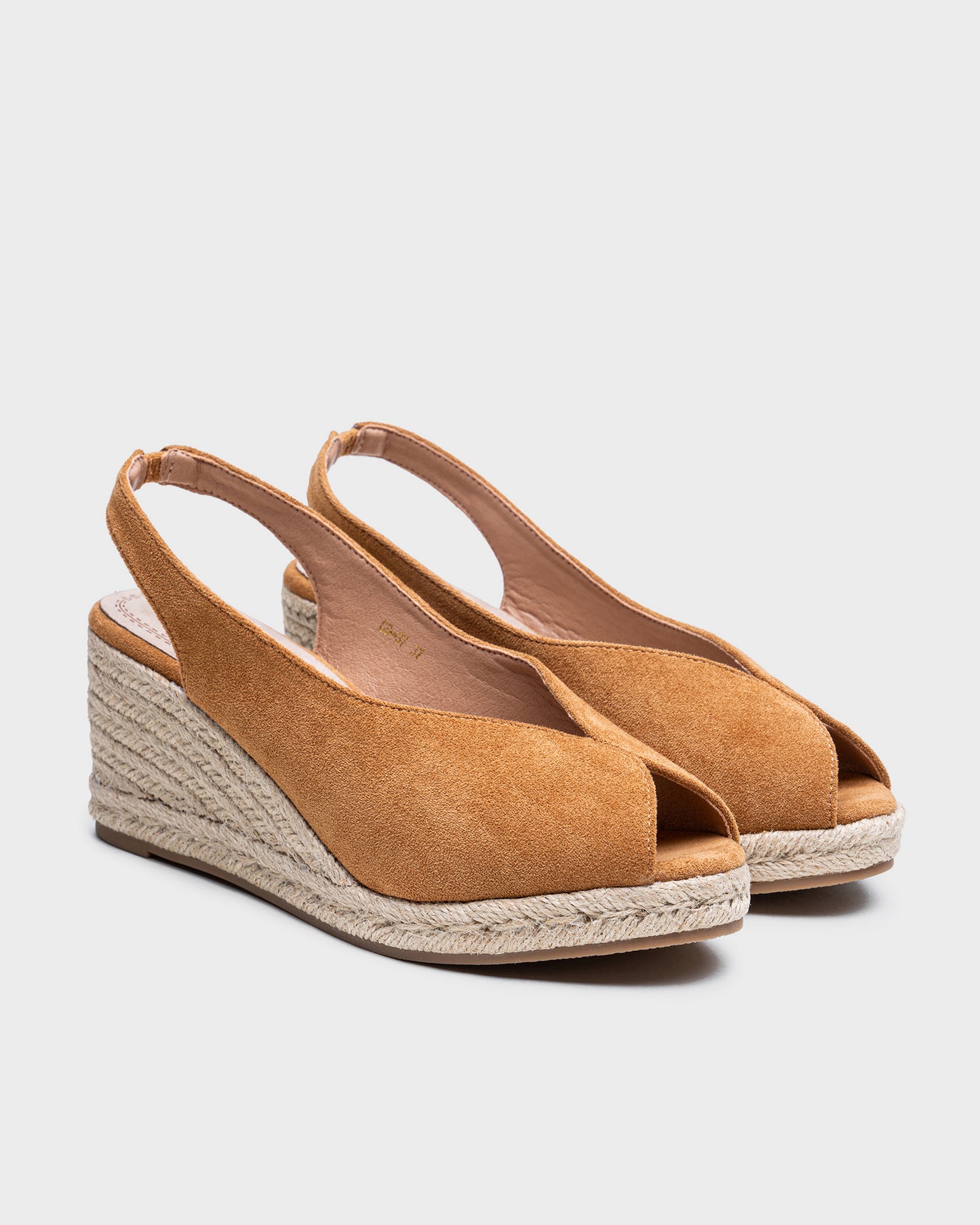 CD-37 CAMEL